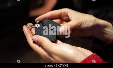 Handgriff für neue Bremsbeläge. Austausch der Bremsbeläge. Stockfoto