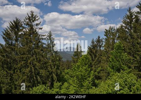 Blick auf den großen Arber im Bayerischen Wald Stockfoto