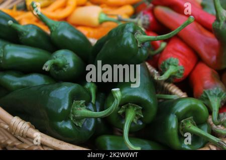 Poblano Peppers mit asiatischen roten und gelben Chilischoten Stockfoto