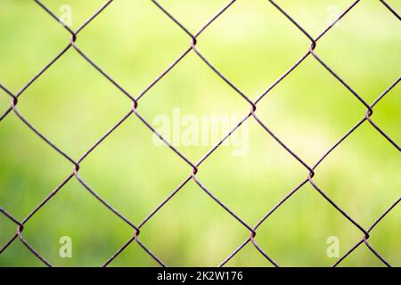 Netzkäfig im Garten mit grünem Gras als Hintergrund. Metallzaun mit Drahtgeflecht. Verschwommener Blick auf die Landschaft durch einen Stahlgitter-Metallzaun auf grünem Gras. Abstrakter Hintergrund. Stockfoto