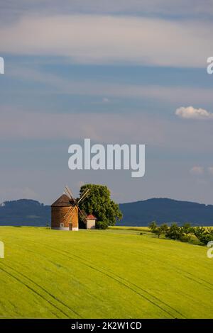 Windmühle in Chvalkovice, Südmähren, Tschechische Republik Stockfoto