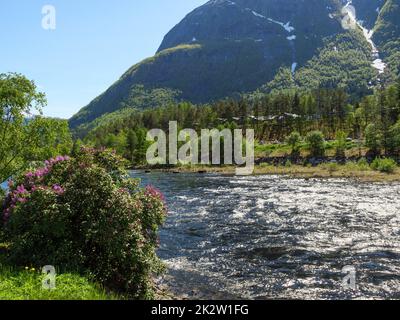 Frühlingszeit in Eidfjord in norwegen Stockfoto