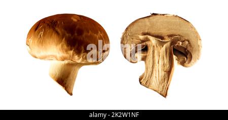 Frische Champignons isoliert auf weißem Hintergrund. Set aus frischen, ganzen und in Scheiben geschnittenen braunen Königspilzen. Nahaufnahme der frischen Ernte. Makro. Stockfoto