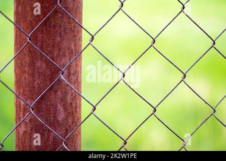 Ein Netzkäfig in einem Garten und ein rostiger Stab mit grünem Gras als Hintergrund. Metallzaun mit Drahtgeflecht. Verschwommener Blick auf die Landschaft durch einen Stahlmaschenzaun. Abstrakter Hintergrund. Stockfoto