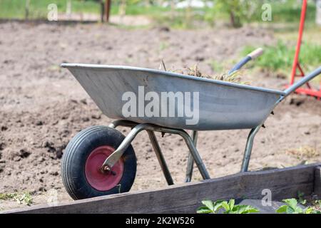 Gartenradkarre gefüllt mit Erde oder Kompost auf dem Bauernhof. Saisonale Gartenreinigung vor Herbst. Auf der Straße. Einradkarre aus Gartenmetall mit Unkraut und Ästen. Stockfoto