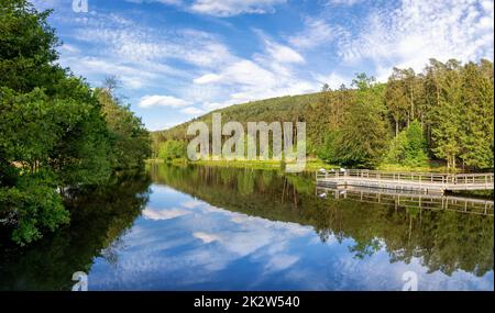 Blick auf einen See im Spiesswoogtal bei Fischbach bei Dahn Stockfoto