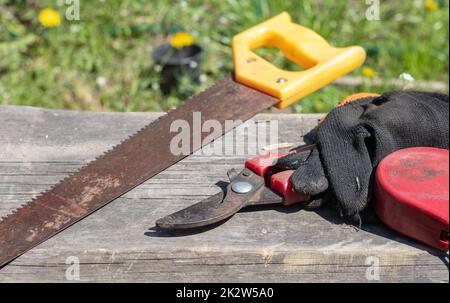 Eine alte rostige Handsäge mit Kunststoffgriff für Holzsägeplatten, Sperrholz und andere Materialien. Säge, Gartenschere mit Handschuhen. Gartengeräte an einem hellen sonnigen Tag im Garten. Stockfoto