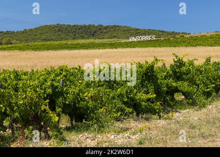 Typischer Weinberg in der Nähe von Vinsobres, Cotes du Rhone, Frankreich Stockfoto