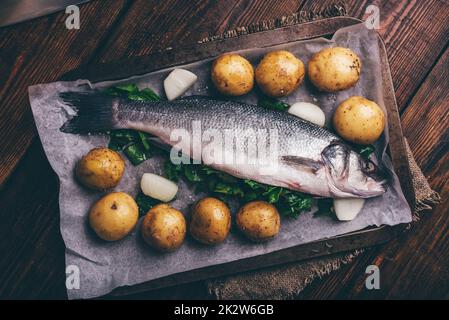 Frischer Seebarsch gefüllt mit Sorrel zum Kochen mit Frühkartoffeln und Zwiebeln Stockfoto