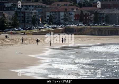 Ein Landschaftsblick auf den Sandstrand von Maroubra mit einer Gruppe von Surfern, die sich zum Surfen bereit machen Stockfoto