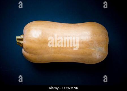 Butternut Squash isoliert auf schwarzem Hintergrund Stockfoto