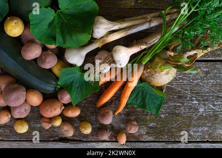 Auswahl an frisch geerntetem Farmgemüse auf flachem Untergrund Stockfoto