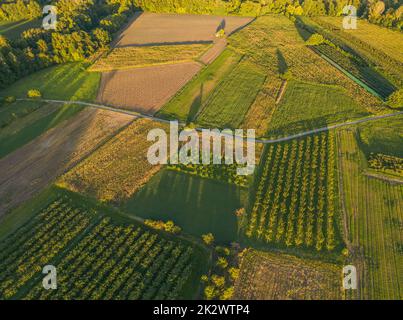 Luftaufnahme der Rhone. In der Nähe der Stadt Le Pouzin - Frankreich. Bei Sonnenuntergang. Bäume, die einen Schatten über die umliegenden Felder werfen Stockfoto