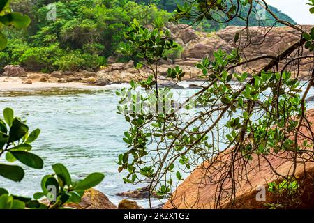 Verlassener Strand und das Meer, versteckt zwischen den Felsen und dem Regenwald Stockfoto