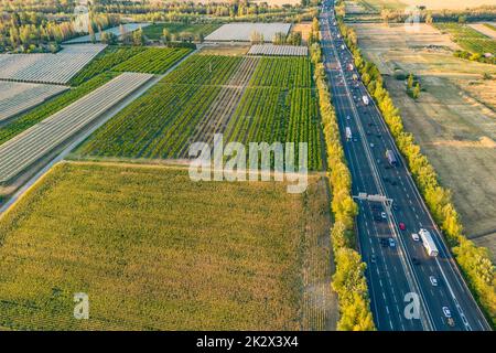 Autobahn aus der Vogelperspektive. Wenn die Sonne untergeht, erzeugen die Sonnenstrahlen wunderschöne lange Schatten auf dem Boden. Gelbe Bäume und umliegende Farmlan Stockfoto