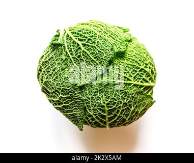 Wirsing, isoliert auf weißem Hintergrund Stockfoto