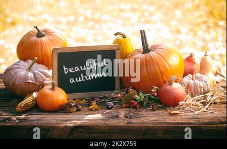 Tafel mit Inschrift in der Nähe von Kürbissen auf dem Land Stockfoto