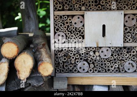 Ein Insektenhotel für Bienen, Wespen und andere Insekten aus Holz. Stockfoto