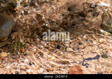 Steine im glitzernden Wasser mit sonnigen Reflexionen im Wasser eines kristallklaren Wasserbaches, während der idyllische natürliche Hintergrund Zen-Meditation, kleine Wellen und seidige Wellen in einer gesunden Bergquelle zeigt Stockfoto