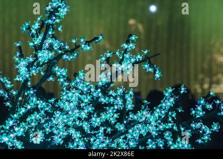 Die Lichter werden verwendet, um die Bäume zu schmücken, um schönes Licht zu schaffen. Stockfoto