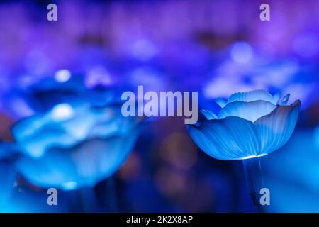 Die Lichter sind als Blumen dekoriert, um bei Nacht auf dem Festival schönes Licht zu schaffen. Stockfoto