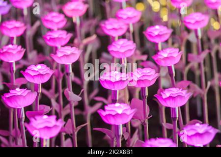 Die Lichter sind als Blumen dekoriert, um bei Nacht auf dem Festival schönes Licht zu schaffen. Stockfoto