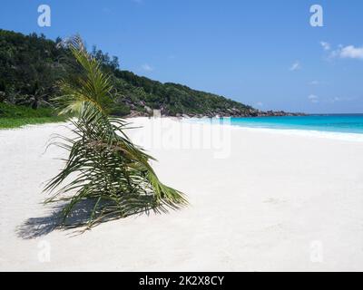 Seychellen, La Digue - Strand von Grande Anse Stockfoto