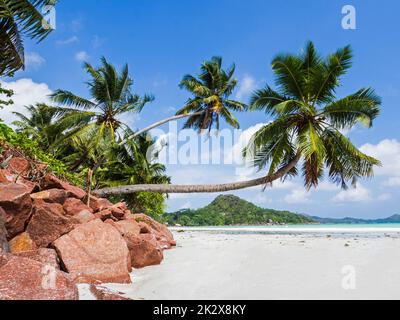 Seychellen - Praslin, Anse Volbert - Cote dÂ Stockfoto