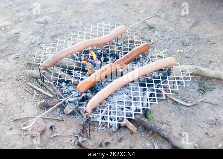 Hot-Dog-Wurst am Lagerfeuer, Zubereitung von Speisen in der Wildnis, Buschhandwerk und Überlebenskonzept, gegrilltes Fleisch, Urlaubsreise Stockfoto