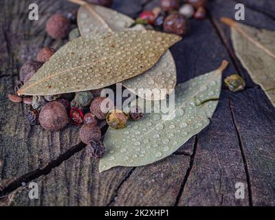 Lorbeerblättern mit dem Hintergrund eines Walnussstamms zusammen mit Pfeffer und Piment Stockfoto