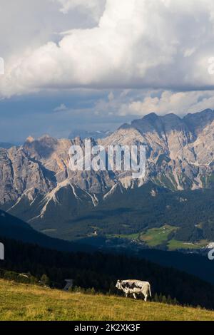 Landschaft am Giau-Pass in den Dolomiten, Italien Stockfoto