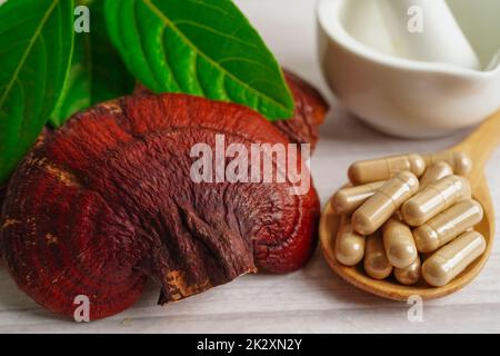 Lingzhi oder Reishi Pilz mit Kapseln, Bio natürliche gesunde Ernährung. Stockfoto