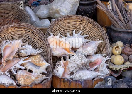 Straßenhandel mit Muscheln aus dem Roten Meer an der Hauptpromenade in einer exotischen Kleinstadt am Roten Meer auf der Sinai-Halbinsel, Dahab, Ägypten Stockfoto