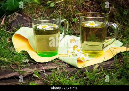 Ein Glas Kräuterkamillentee und Kamillenblumen im alten Garten. Sommertag Stockfoto