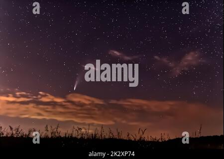 Comet Neowise C/2020 F3 fotografiert am 2020-07-19 in der Schwäbischen Alb, Deutschland, Europa Stockfoto