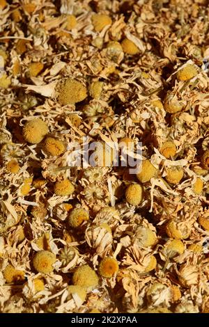 Kamille getrocknet, bereit für Tee-Makro-Hintergrund Matricaria chamomilla Familie asteraceae moderne, hochwertige Drucke Stockfoto