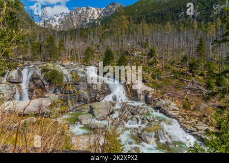Wasserfall in den Bergen der Hohen Tatra Stockfoto