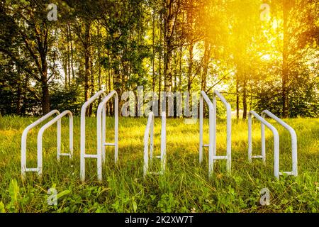 Parken für Fahrräder in einem Wald am sonnigen Morgen Stockfoto