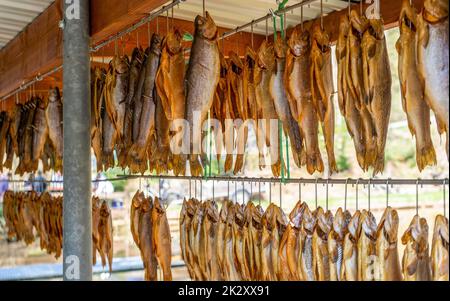 Geräucherte Forellen Stockfoto