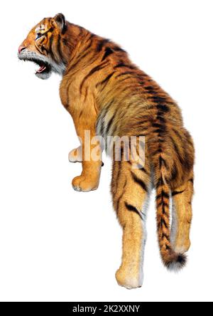 3D-Rendering Big Cat Tiger auf Weiß Stockfoto