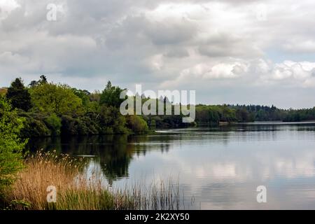 Virginia Water Lake in Windsor Great Park, Großbritannien Stockfoto