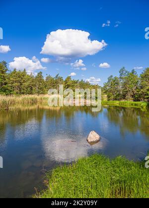 Landschaft mit Felsen und Bäumen auf der Insel UvÃ¶ in Schweden Stockfoto