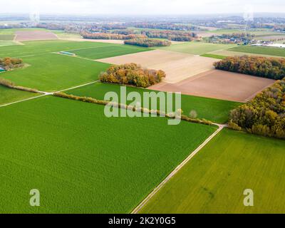 Luftaufnahme von landwirtschaftlichen Feldern. Felder auf Ackerland. Drohnenfoto Stockfoto