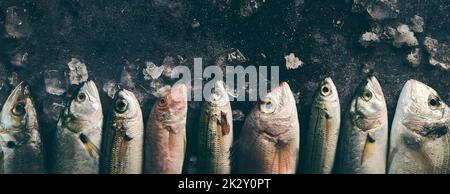 Set mit rohem Fisch auf kalter Oberfläche Stockfoto