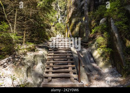Wanderweg im Naturschutzgebiet Adrspach-Teplice Rocks, Tschechische Republik Stockfoto