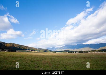 Cansiglio Wald Herbstansicht. Naturlandschaft Stockfoto