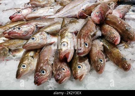 Frischer Fisch auf Eis zum Verkauf auf einem Markt in Spanien Stockfoto