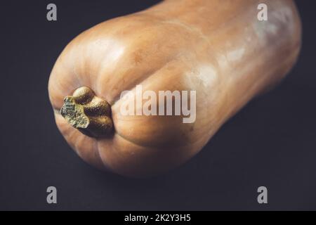 Butternut Squash isoliert auf schwarzem Hintergrund Stockfoto