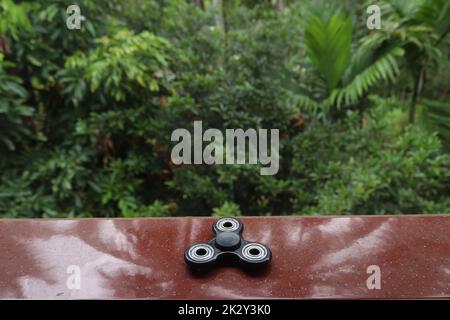 Ein Spinner, der auf einem offenen Raum ruht Stockfoto