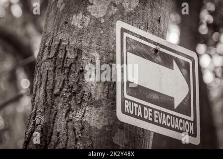 Santuario de los guerreros Informationen Evakuierungsroute singt an Bord Mexiko. Stockfoto